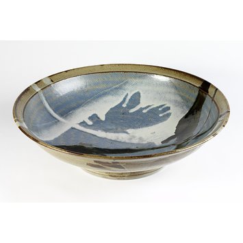 Dish