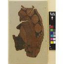 Fragment - The Stein Collection