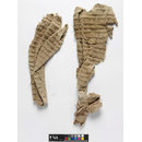 The Stein Collection (Fragments)