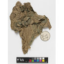 The Stein Collection (Fragment)