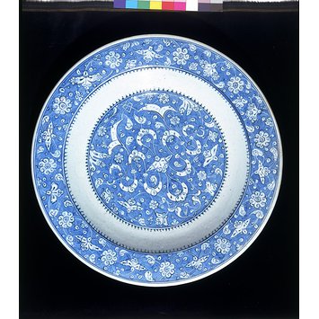 Dish Dish