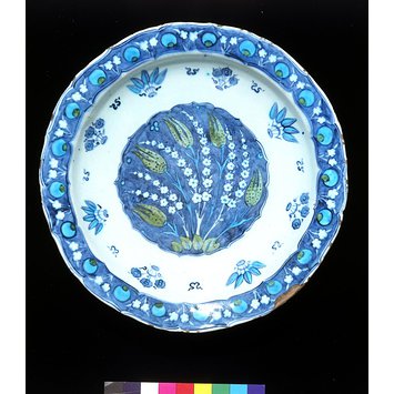 Dish Dish