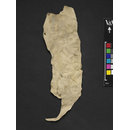 Fragment - The Stein Collection
