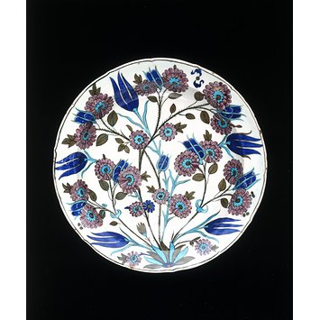 Dish