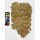 The Stein Collection (Carpet fragment)