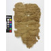 Carpet fragment