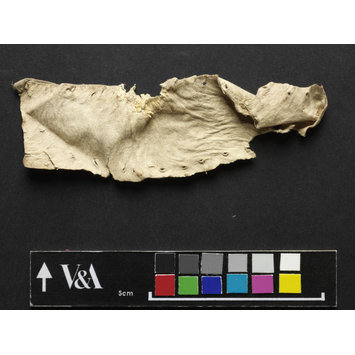 Fragment - The Stein Collection