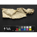 Fragment - The Stein Collection