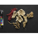 The Stein Collection (Fragments)