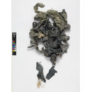 The Stein Collection (Fragments)
