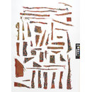 The Stein Collection (Fragments)