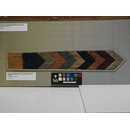 The Stein Collection (Fragment)