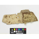 The Stein Collection (Fragment)