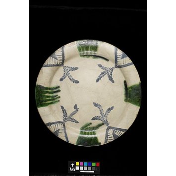 Dish