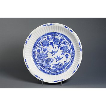 Dish Dish