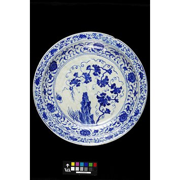 Dish