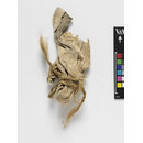 Fragment - The Stein Collection
