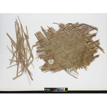 Fragment - The Stein Collection