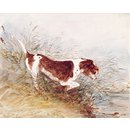Watercolour - A dog watching a rat in the water at Dedham