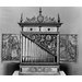 Positive organ