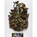 The Stein Collection (Fragments)