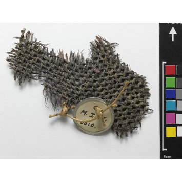 Fragment - The Stein Collection