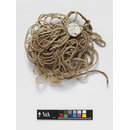 The Stein Collection (String)