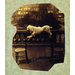 Photograph - Dog balancing on two chairs