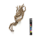 The Stein Collection (Fragment)