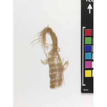 Fragment - The Stein Collection