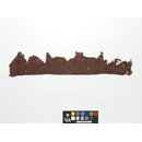 The Stein Collection (Fragment)