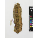 The Stein Collection (Fragment)
