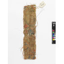 The Stein Collection (Fragment)