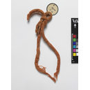 The Stein Collection (Fragment)