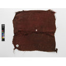 The Stein Collection (Fragment)
