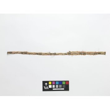 Fragments - The Stein Collection