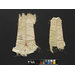 Fragments