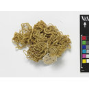 Yarn - The Stein Collection