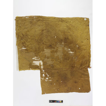 Textile - The Stein Collection