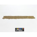 The Stein Collection (Fragment)