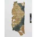 The Stein Collection (Fragment)