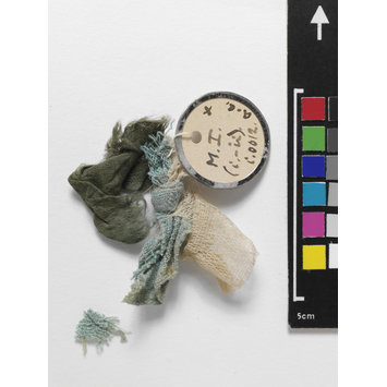 Fragment - The Stein Collection Fragment - The Stein Collection