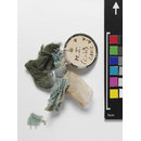 Fragment - The Stein Collection Fragment - The Stein Collection