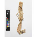 The Stein Collection (Fragment)