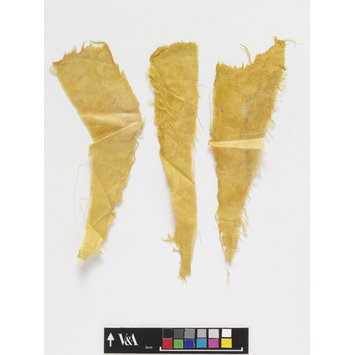 Fragments - The Stein Collection
