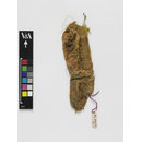 The Stein Collection (Fragment)