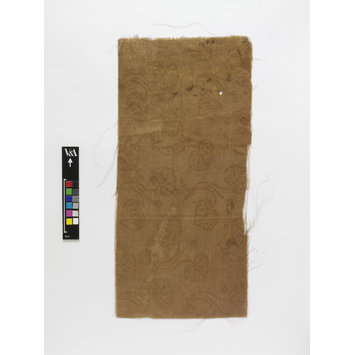 Fragment - The Stein Collection