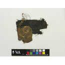 The Stein Collection (Fragments)