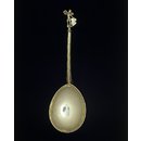 Spoon