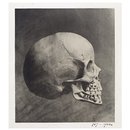 Skull (Photograph) Skull (Photograph)